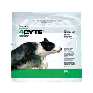 4cyte dog gel 200ml