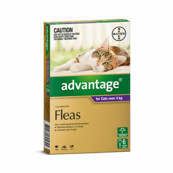 Advantage Purple Spot-On for Medium & Large Cats - 6 Pack 1