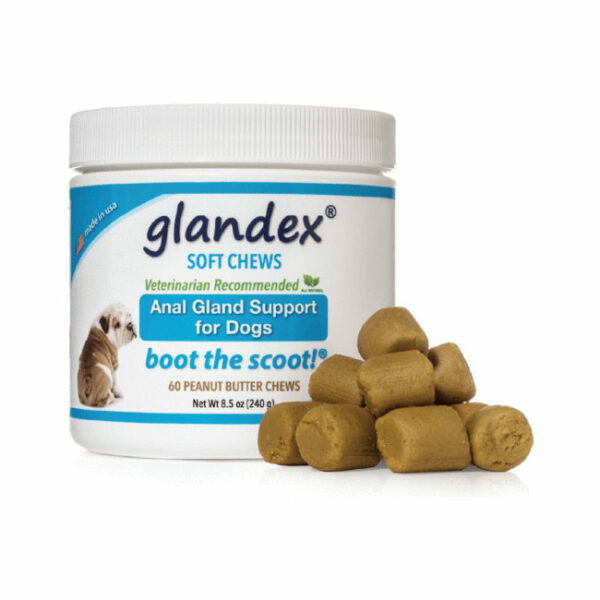 Glandex Anal Gland Support for Dogs 60 Chews 1