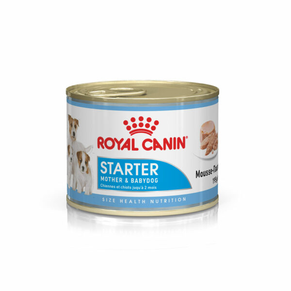 Royal Canin Mother And Babydog Starter Mousse 195g X 12 Cans » Ourimbah ...