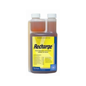 Recharge for Horses 1L